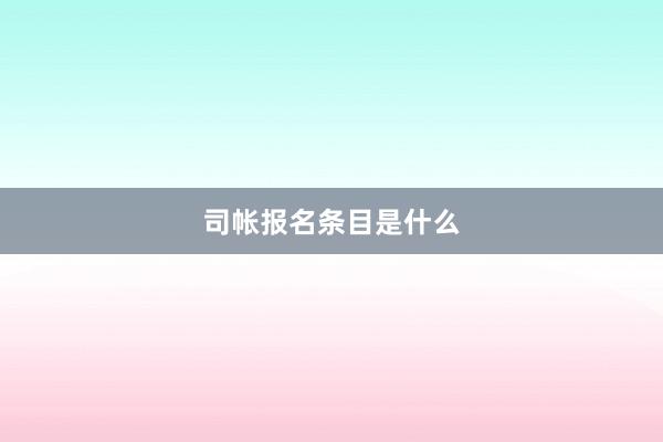 司帐报名条目是什么