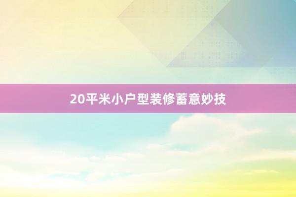 20平米小户型装修蓄意妙技