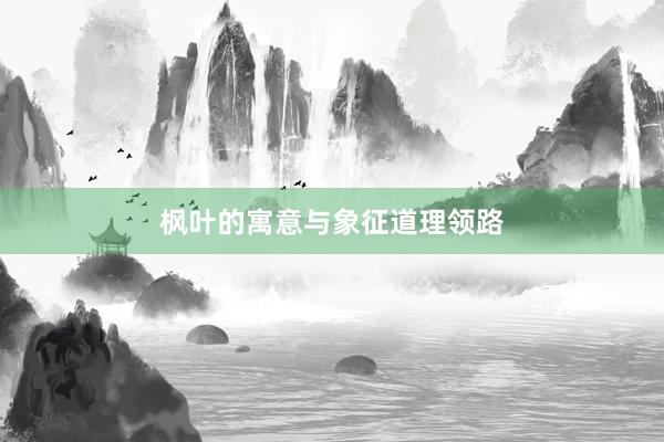 枫叶的寓意与象征道理领路