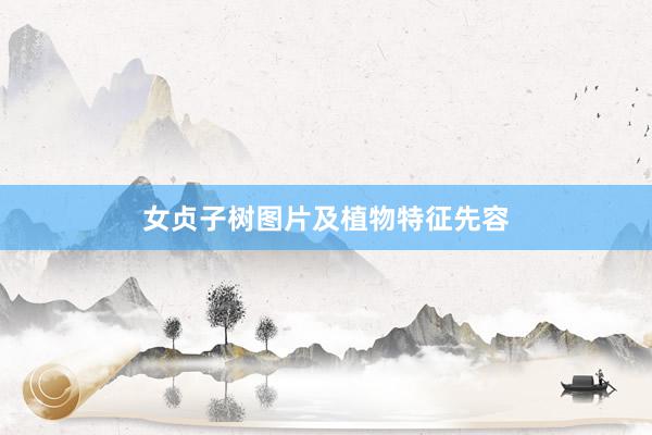 女贞子树图片及植物特征先容